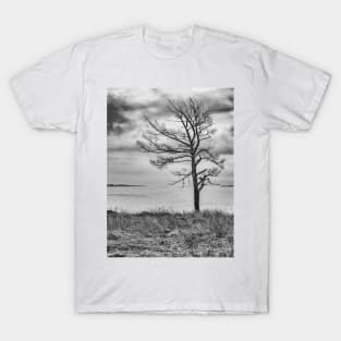 Lonely Tree T-Shirt